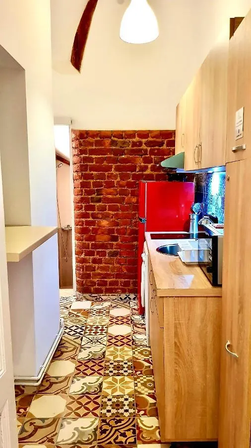 Cismigiu Studio Apartments Bucharest 0*,